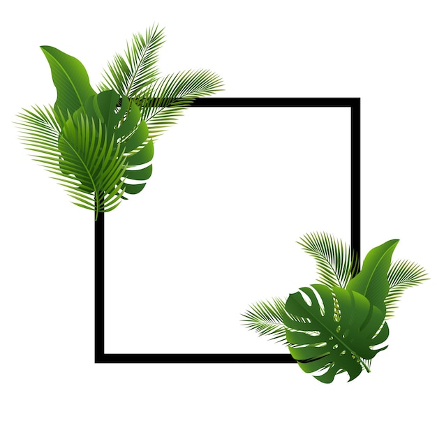 Palm tree leaves leaves black frame