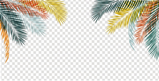 Вектор Листья пальмового дерева листья рамка прозрачном фоне