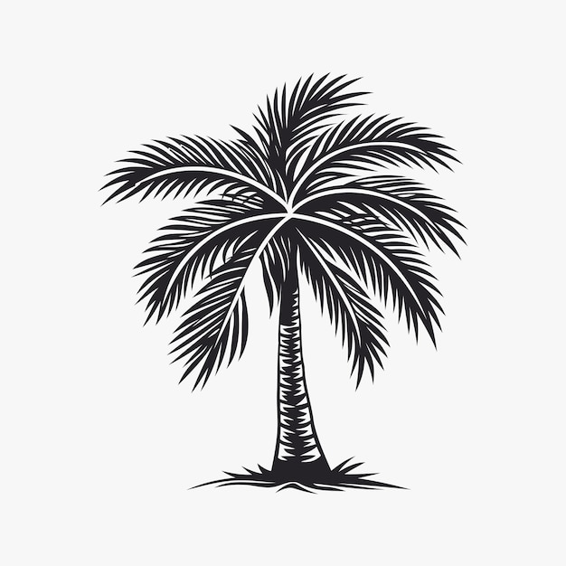 Palm tree logo design vector template