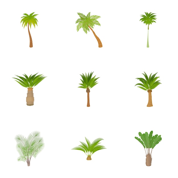 Vector palm tree set, cartoon style