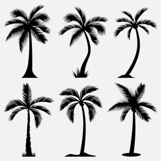 向量棕榈树轮廓设计模板