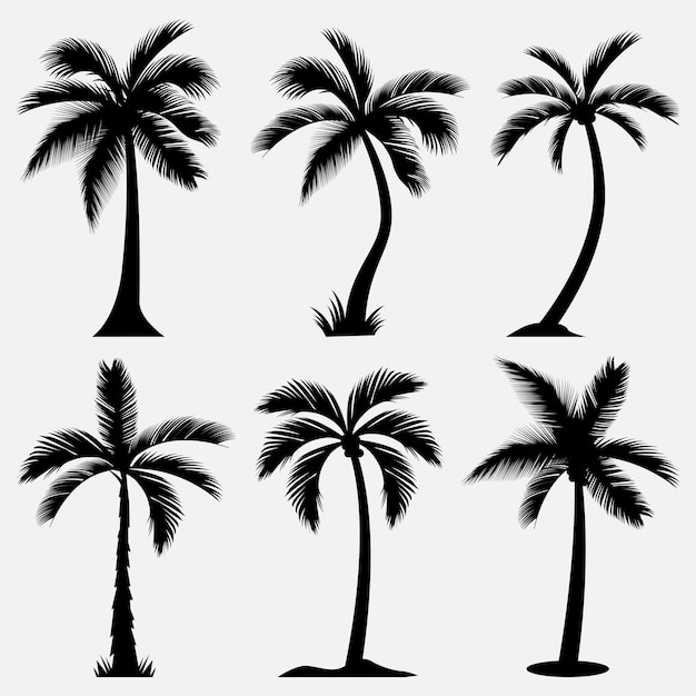 Palm tree silhouette design template