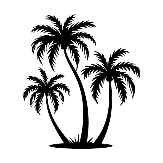 Palm tree silhouette icon Tropical black jungle plants Vector on white background