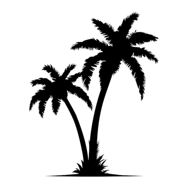 Palm tree silhouette Vector illustration