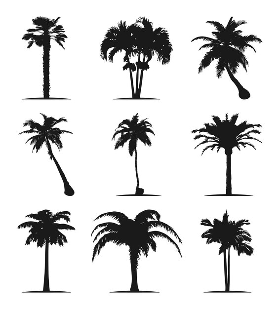 Palm tree silhouette vector tree illustration, black tree illustration