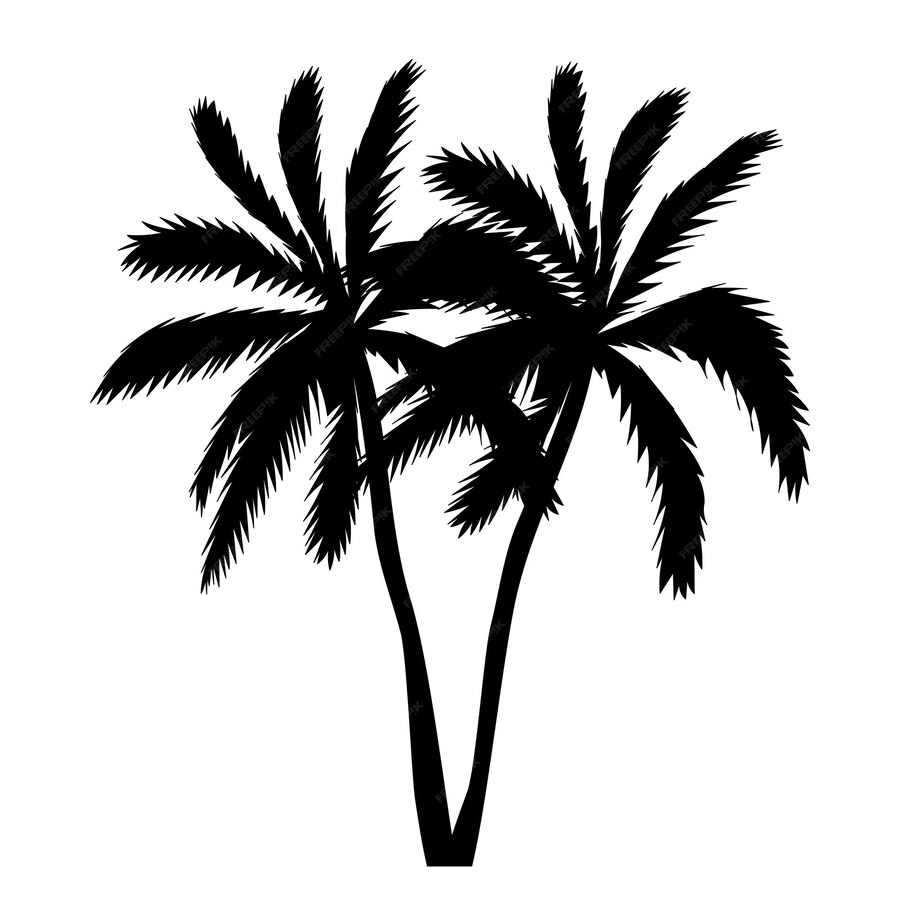 Premium Vector | Palm tree silhouette on white background vector
