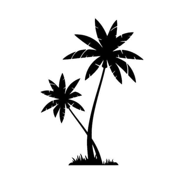 palm tree silhouette