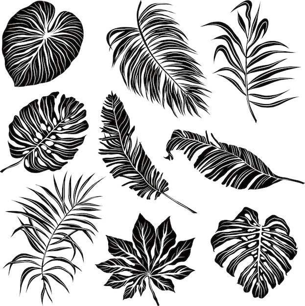 palm tree silhouettes for design