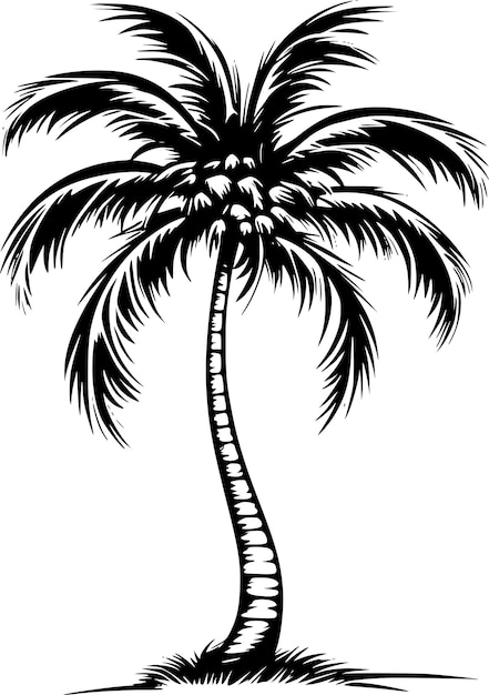 Palm Tree Silhouettes