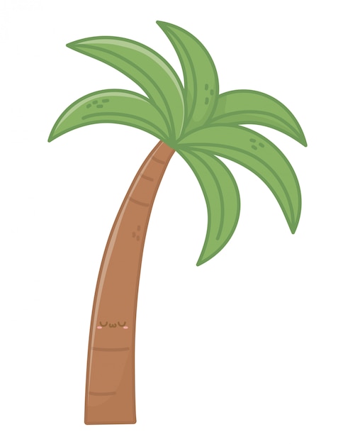 夏のPalm子の木