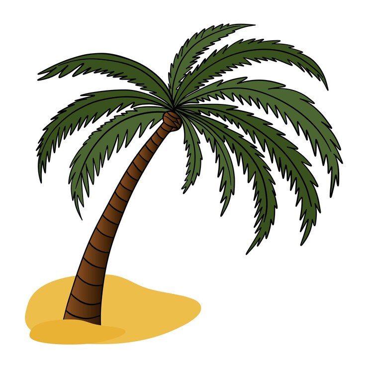 Vector palm tree in tropical island plant beach summer time in paradise exotic flora