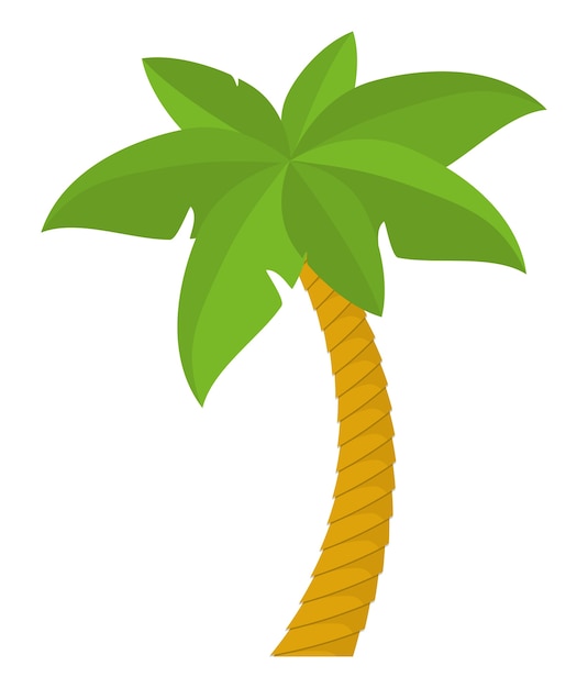 Premium Vector | Palm tree tropical nature summer beach plant icon