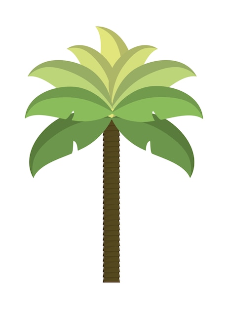 ヤシの木熱帯の自然夏のビーチ植物のアイコン