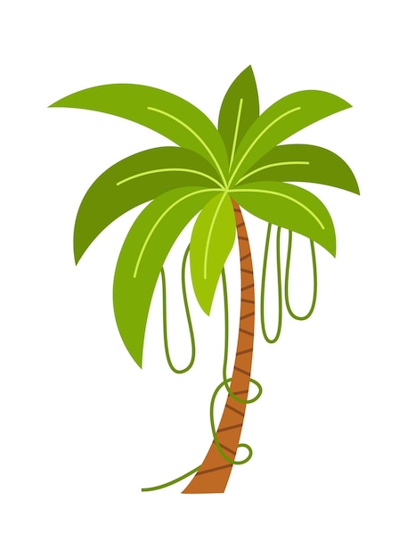 Palm Tree Tropical Plant Vector illustration