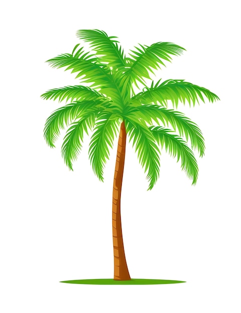 Palm Tree Vector Design with White Background