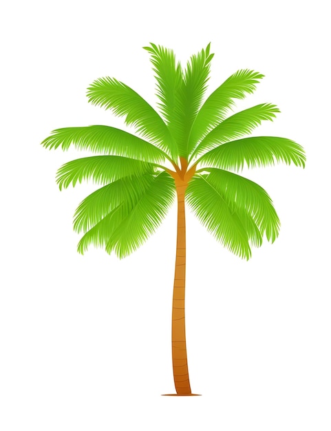 Premium Vector | Palm tree vector design with white background