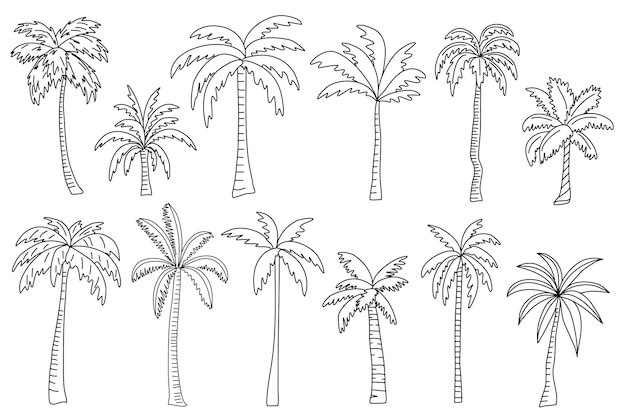 Vector palm tree vector illustration collection doodle hand drawn line ink style