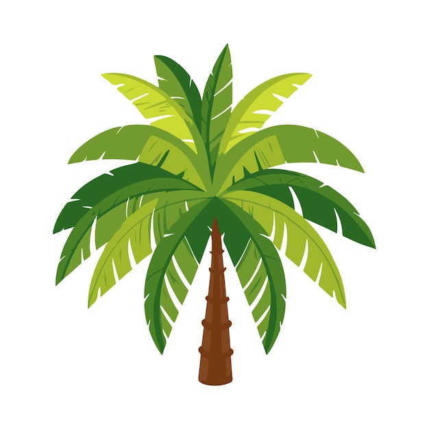 Palm tree vector illustration