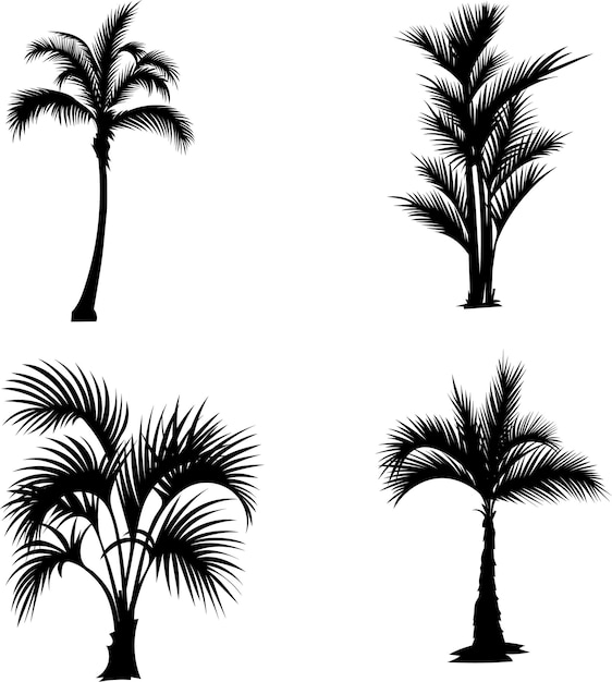 palm tree vector for t shirt desing