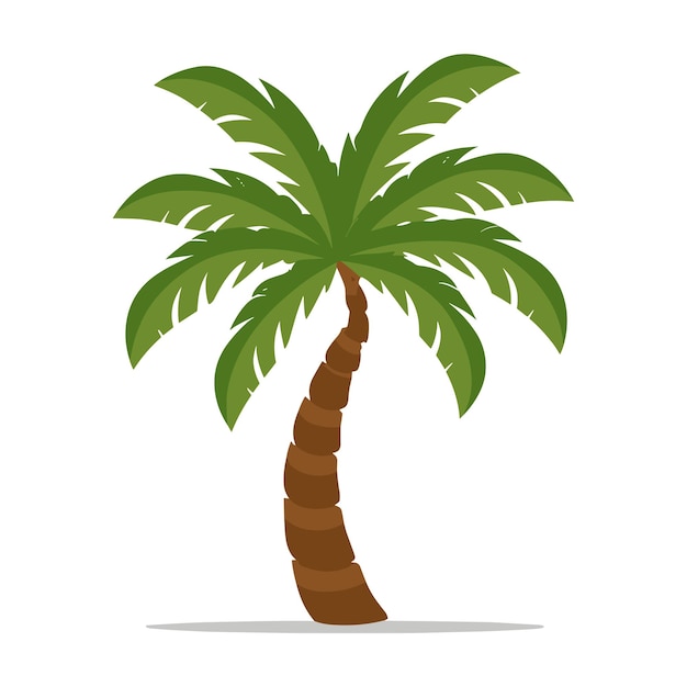 Вектор пальмового дерева