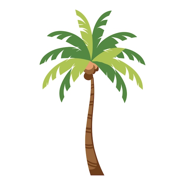 Palm tree vector