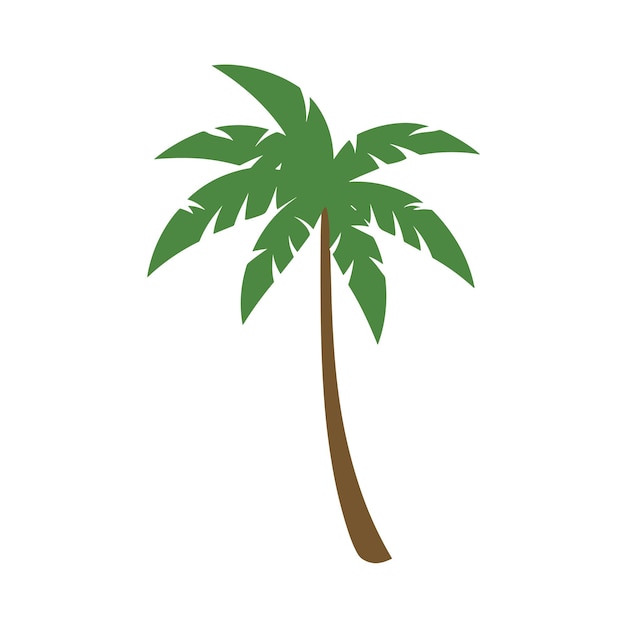 Palm tree vector