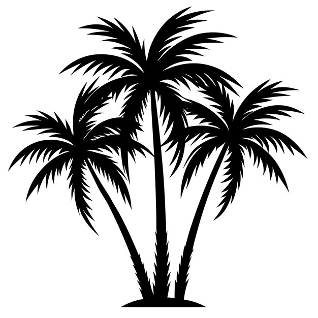 palm tree vector