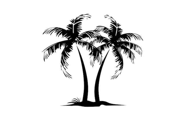 Пальма с кокосовым рисунком, нарисованным вручную. Чернильный силуэт векторной иллюстрации