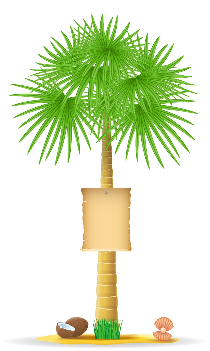 Vector palm tree with a paper sign vector illustration