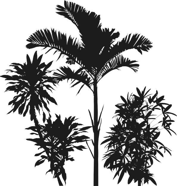 palm tree