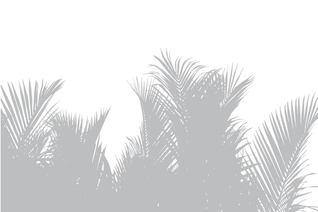 Vector palm trees are a collection of the palm trees