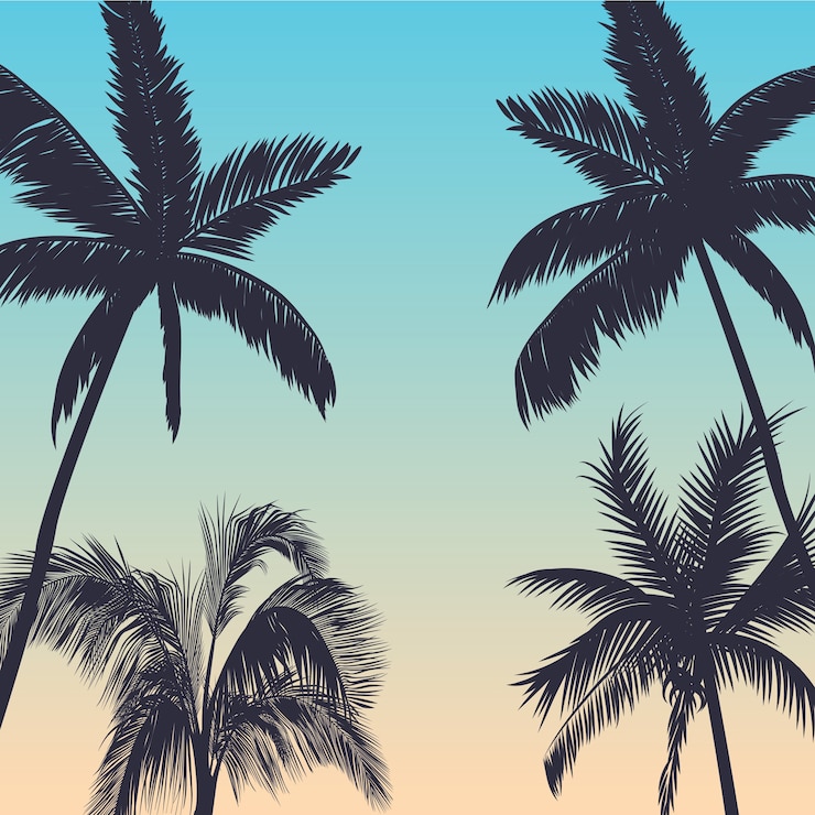Vector palm trees background