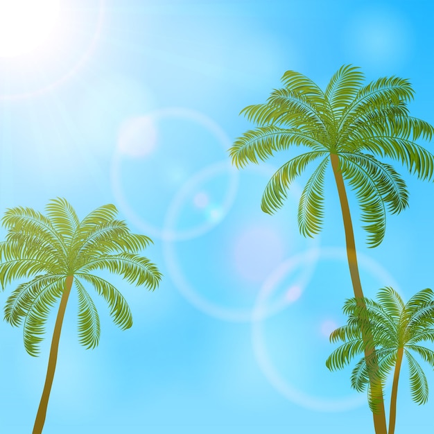 Palm trees and bright sun on blue sky background illustration