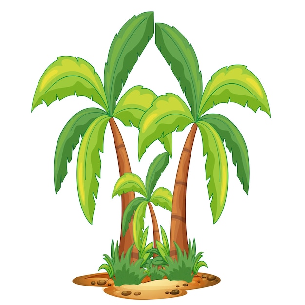 Palm trees clip art Long palm trees vector illustrations