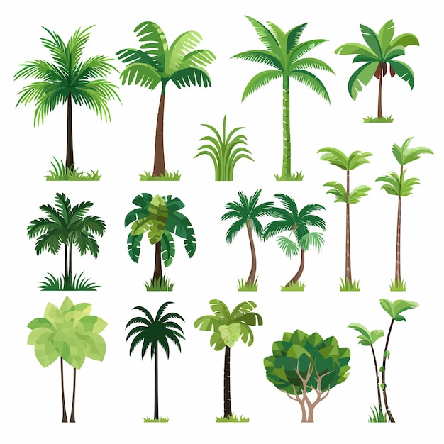 Palm_trees_set_graphic_elements_in_flat_design