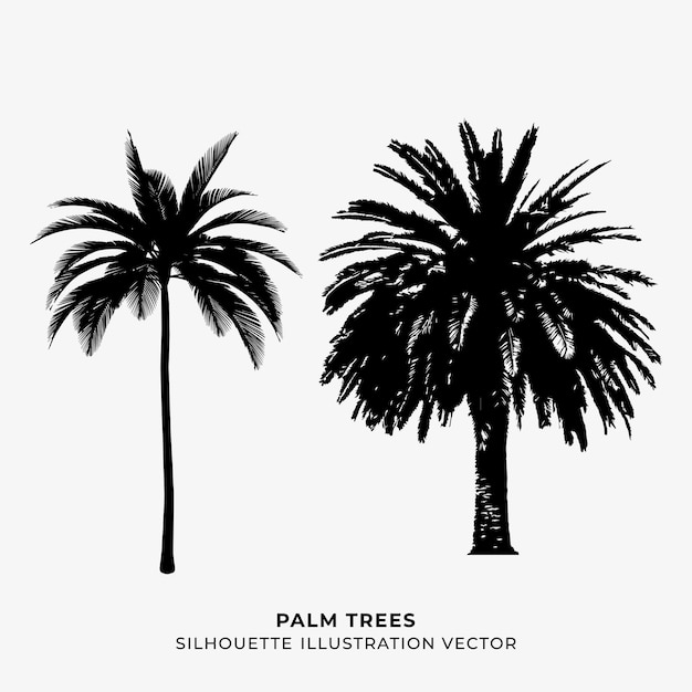 Vector palm trees silhouette vector illustration