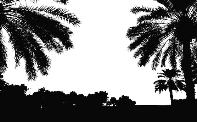 Vector palm trees vector silhouette. coconut palm tree with coconuts vector. beach vector trees. eps 10