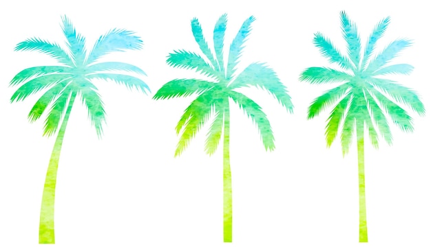 Vector palm trees watercolor silhouette on white background isolated vector