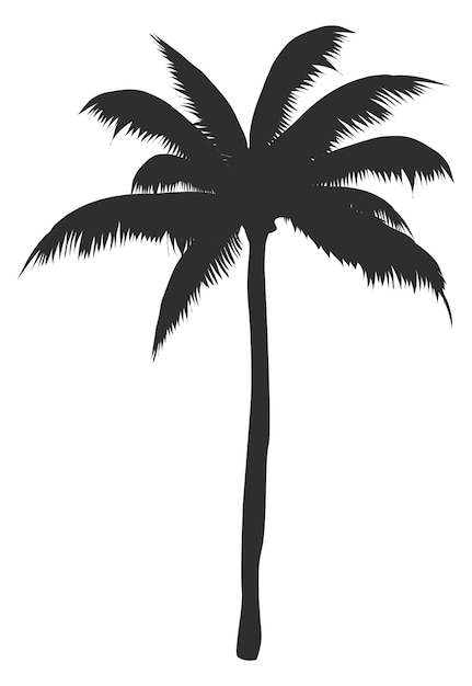 Palm zwart silhouet zuid strand tropische boom