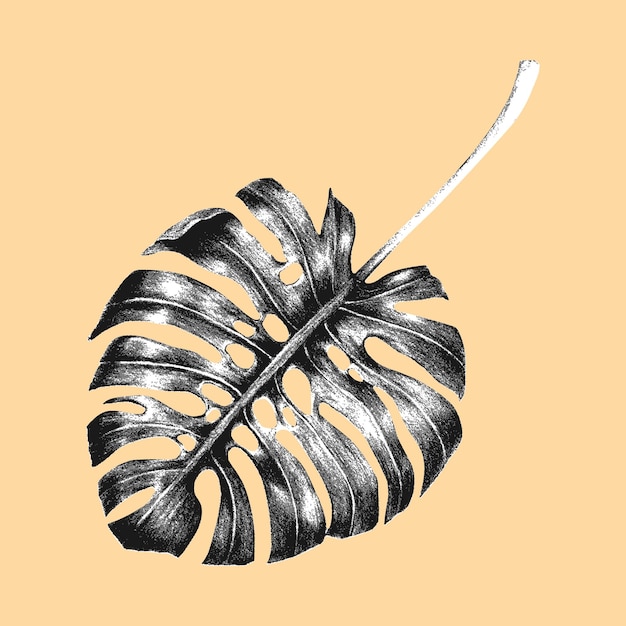palmblad zwart-wit vector