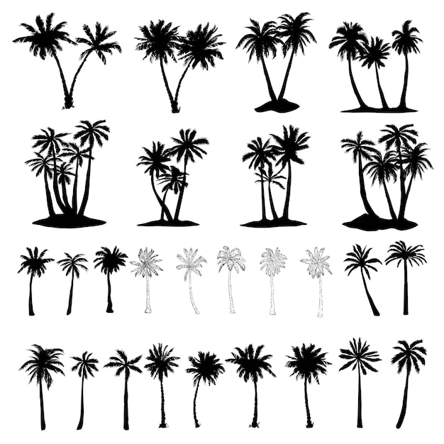 Palmbomen iconen set