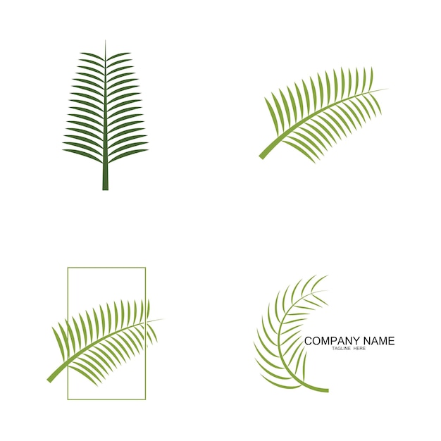 Palmboom blad illustratie logo sjabloon vector ontwerp