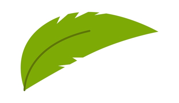 Palmboom blad Vector illustratie