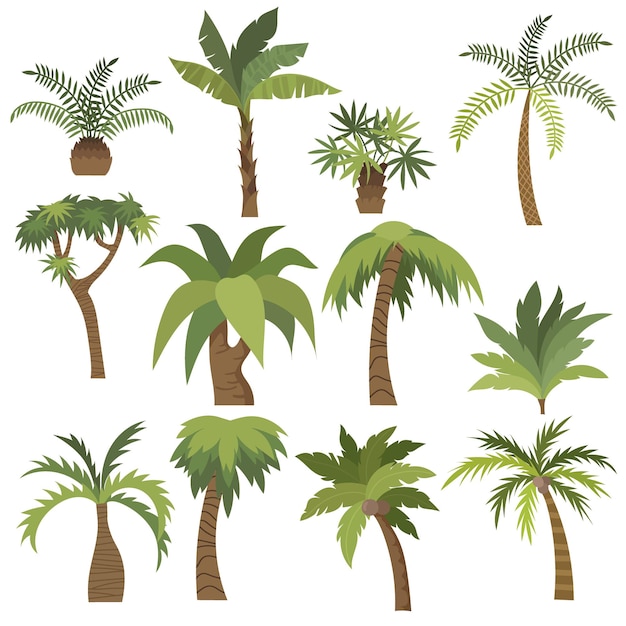 Palmboom cartoon in vlakke stijl