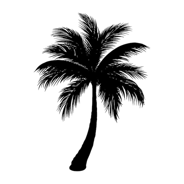 Palmboom silhouet pictogramRealistische platte vectorillustratieEPS 10