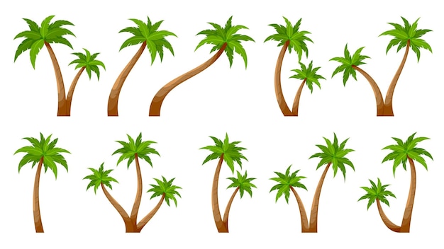 Palmboom tropic plant kofferbak zomer groene platte set tropische kofferbak ontwerp element briefkaart reizen vakanties zomer groene plant bos collectie onbezet eiland groen botanisch geïsoleerd op wit