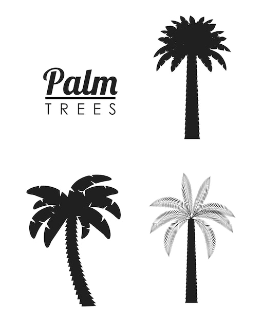 palmboom tropische natuur zomer strand plant icon set