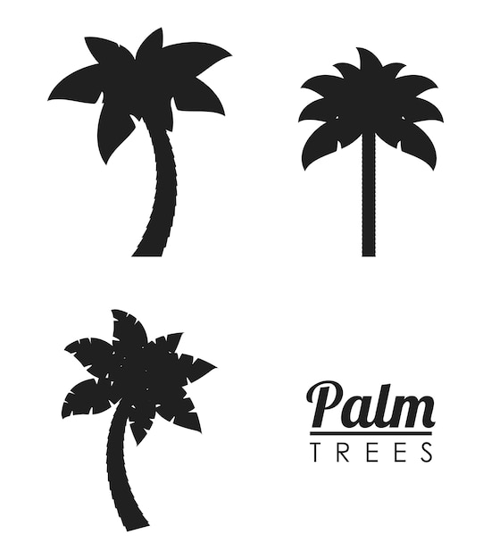 palmboom tropische natuur zomer strand plant icon set