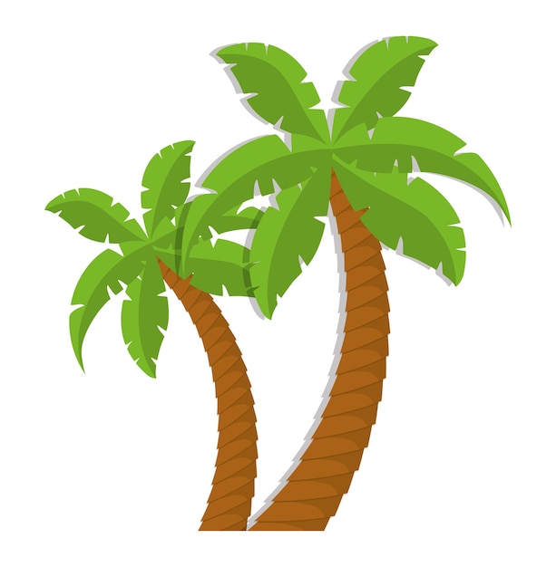 Vector palmboom tropische natuur zomer strand plant pictogram