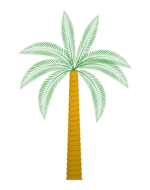 palmboom tropische natuur zomer strand plant pictogram
